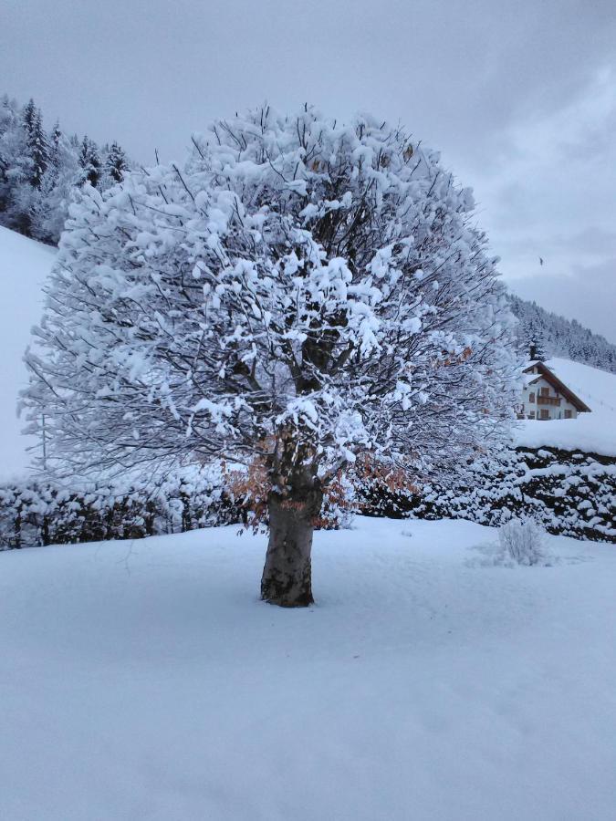 Haus Kieler Leilighet Schladming Eksteriør bilde